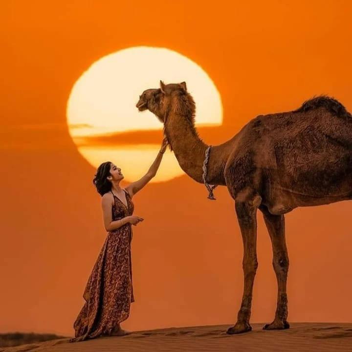 Hotel Neem Haveli Jaisalmer Eksteriør billede