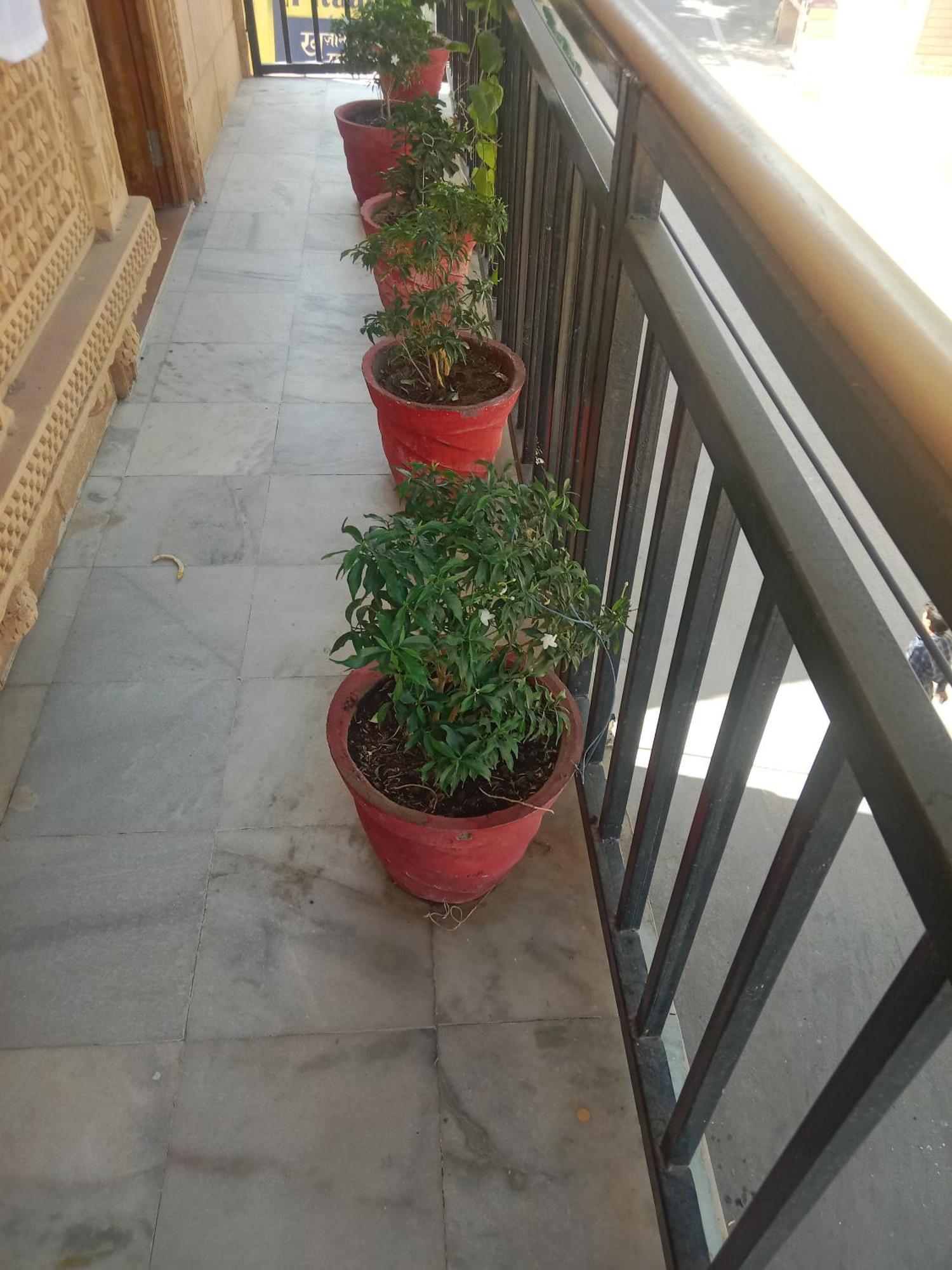 Hotel Neem Haveli Jaisalmer Eksteriør billede
